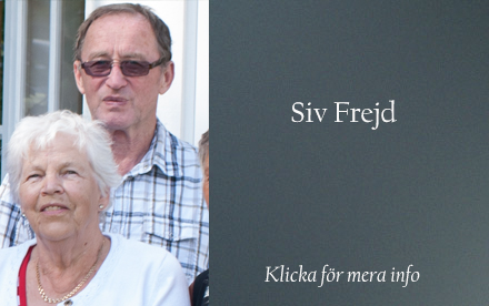 Siv Frejd